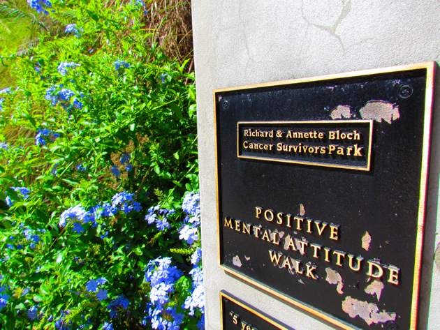 positive mental attitude